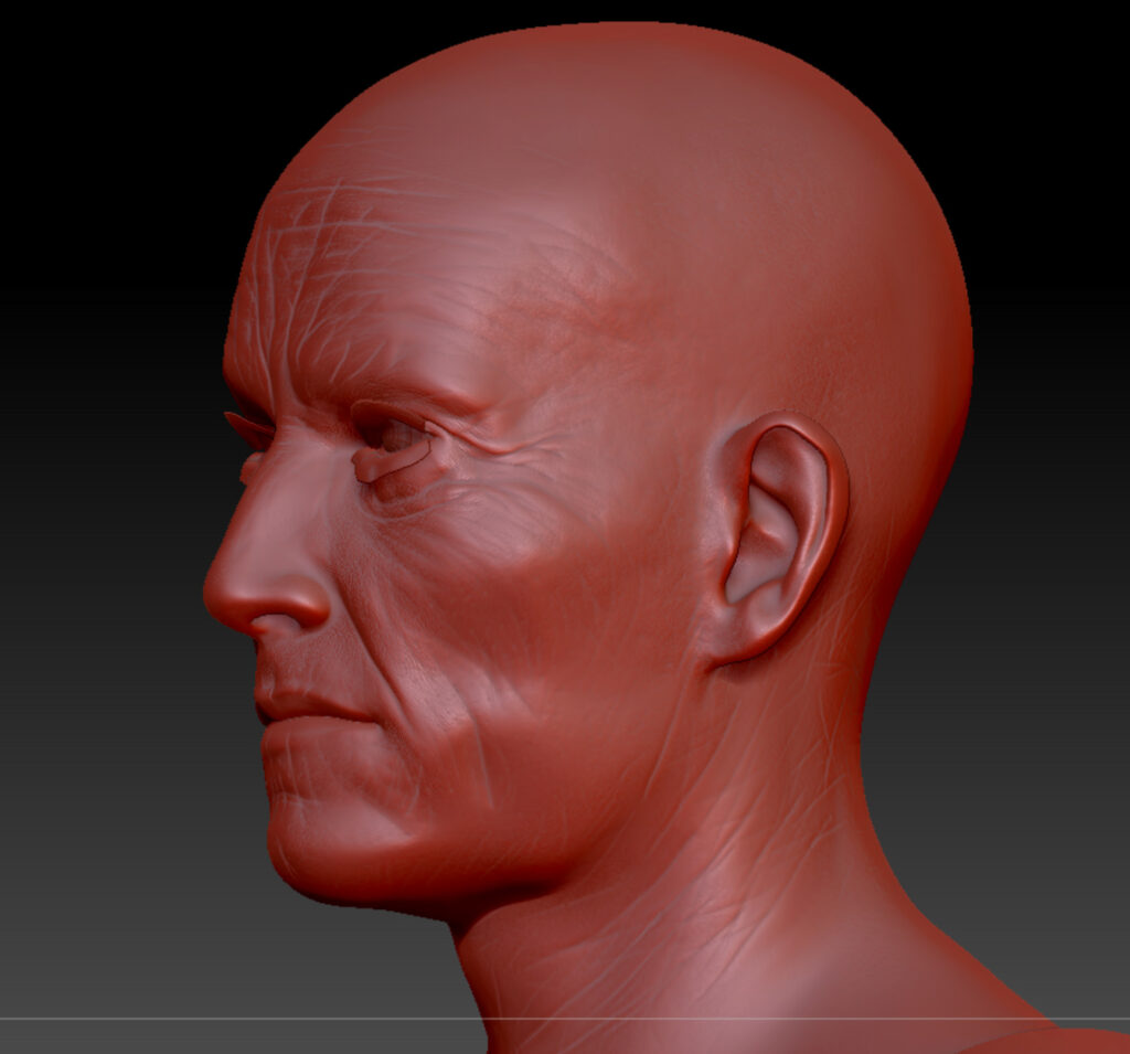 Skin detail sculpting